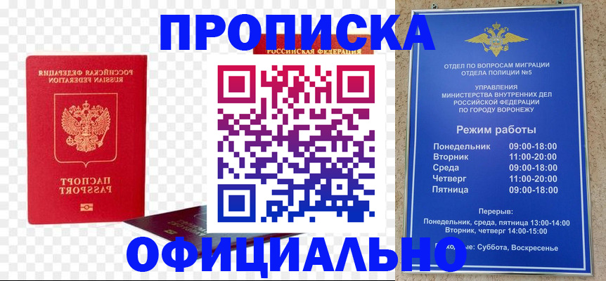 прописка иностранных граждан в Пионерском